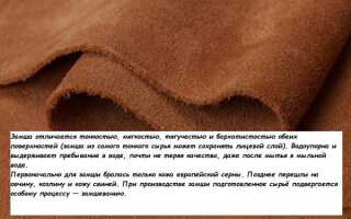 Из чего делают замшу и на что похожа натуральная замшевая ткань