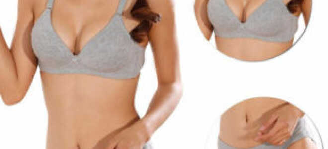 Ткани для нижнего белья: обзор популярных, рекомендации как выбрать