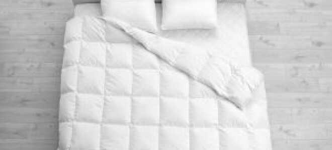 Евро размер для постельного белья и одеяла