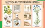 Какие 7 видов растительных тканей порадуют людей, склонных в аллергии