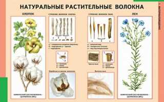 Какие 7 видов растительных тканей порадуют людей, склонных в аллергии