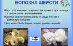 Овечья шерсть – это лечебная пряжа или универсальный современный материал
