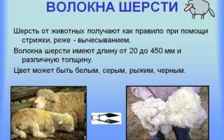 Овечья шерсть – это лечебная пряжа или универсальный современный материал