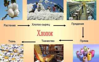 Ткань хлопчатобумажная (хлопок): популярность и разнообразие