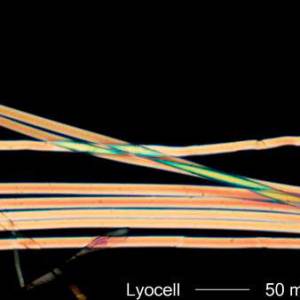 Lyocell-14