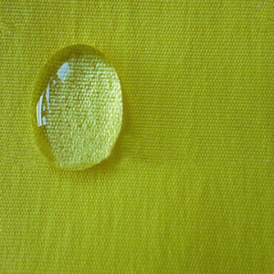 Taslan-1