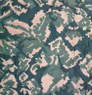 berezka-2