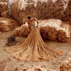 ручное производство джута