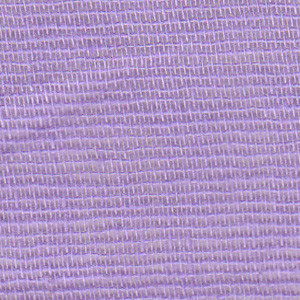 medapolam-4