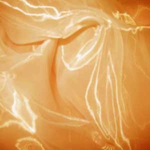 organza-2