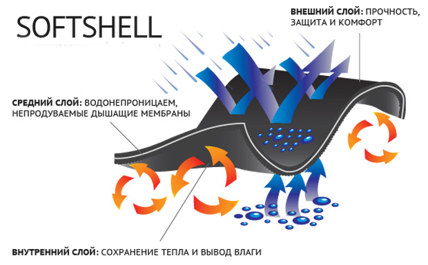 структура softshell